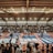 A large indoor arena with a high ceiling, filled with an audience seated on bleachers. In the center, two fighters are engaged in a martial arts competition on blue and red mats. The scene is captured through a mesh fence, adding a textured foreground.