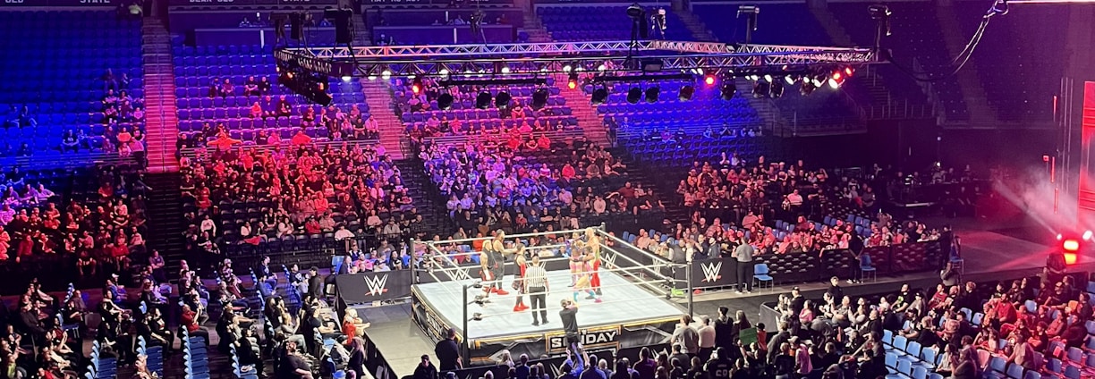 An indoor arena is filled with people watching a wrestling match. The ring is centrally located, and surrounded by audience members sitting in tiered seating. The arena is illuminated with red and blue lights, and a large overhead screen displays 'Sunday Stunner.' Spectators are engrossed in the match taking place in the well-lit ring.