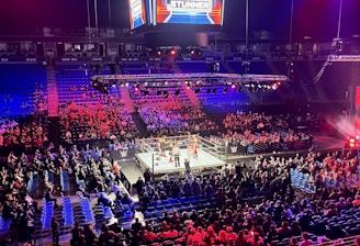 An indoor arena is filled with people watching a wrestling match. The ring is centrally located, and surrounded by audience members sitting in tiered seating. The arena is illuminated with red and blue lights, and a large overhead screen displays 'Sunday Stunner.' Spectators are engrossed in the match taking place in the well-lit ring.
